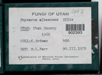 Image Associated With the Occurence